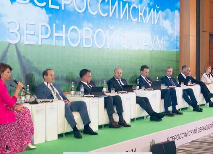 Мощности морских портов РФ по перевалке зерновых составляют 72 млн тонн