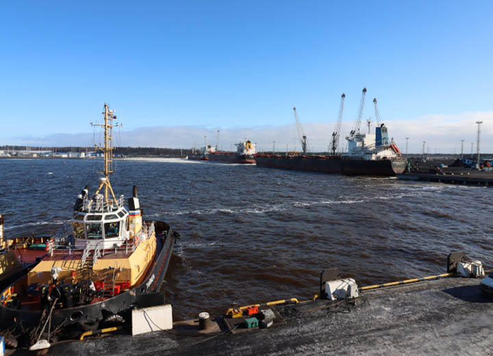 Мощность морских портов РФ составляет почти 1,3 млрд тонн – Росморречфлот