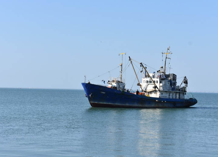 Ученые собрали данные для оценки состояния запасов биоресурсов в Азовском море