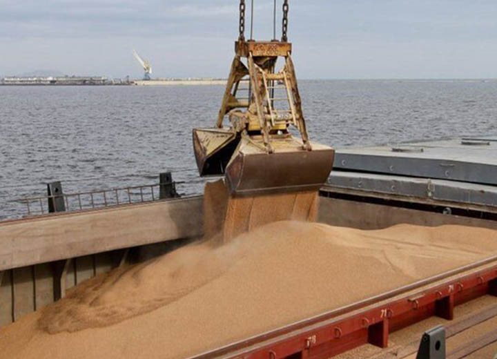 Отправки зерна из порта Мариуполь с начала 2024 года составили 50,7 тыс. тонн